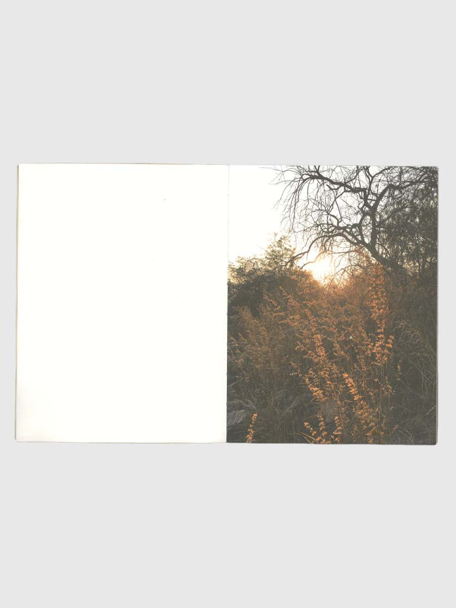How to Climb a Tree by Editions JOJO