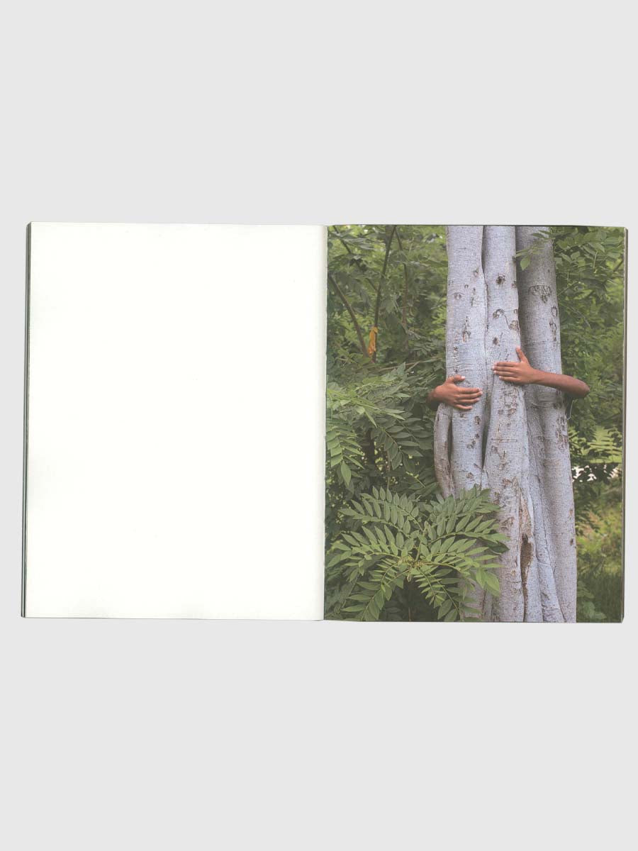 How to Climb a Tree by Editions JOJO