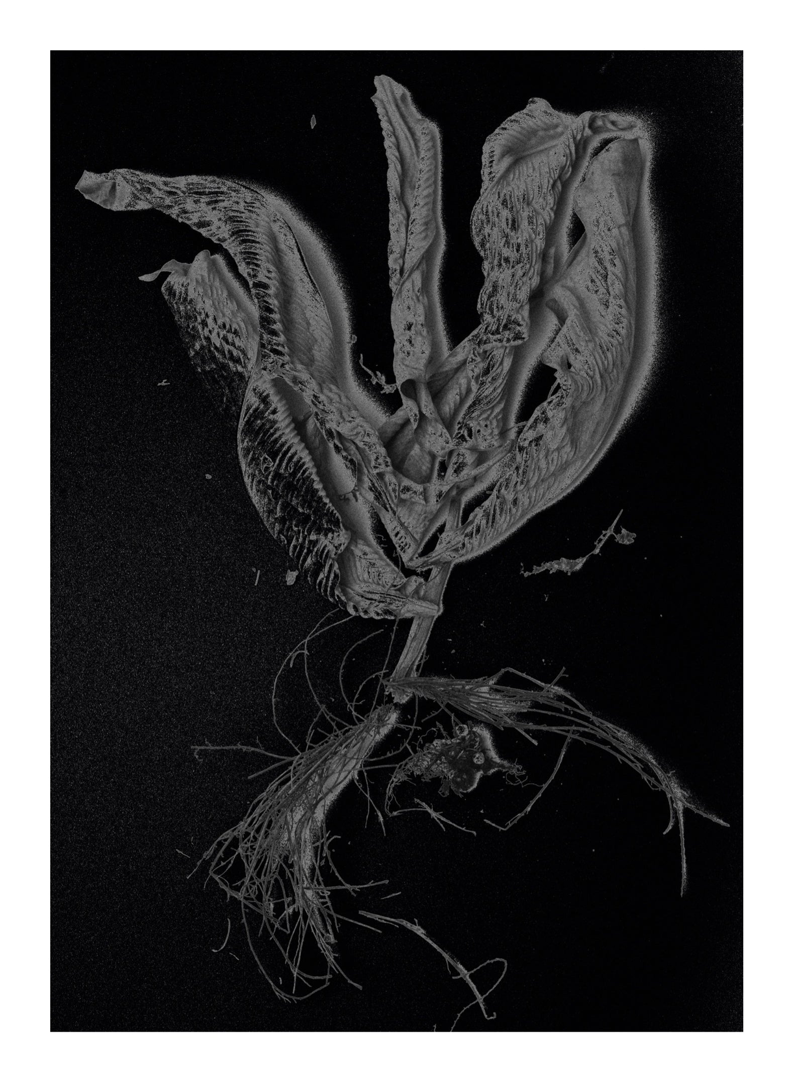 An illusion of life by Khushboo Jain