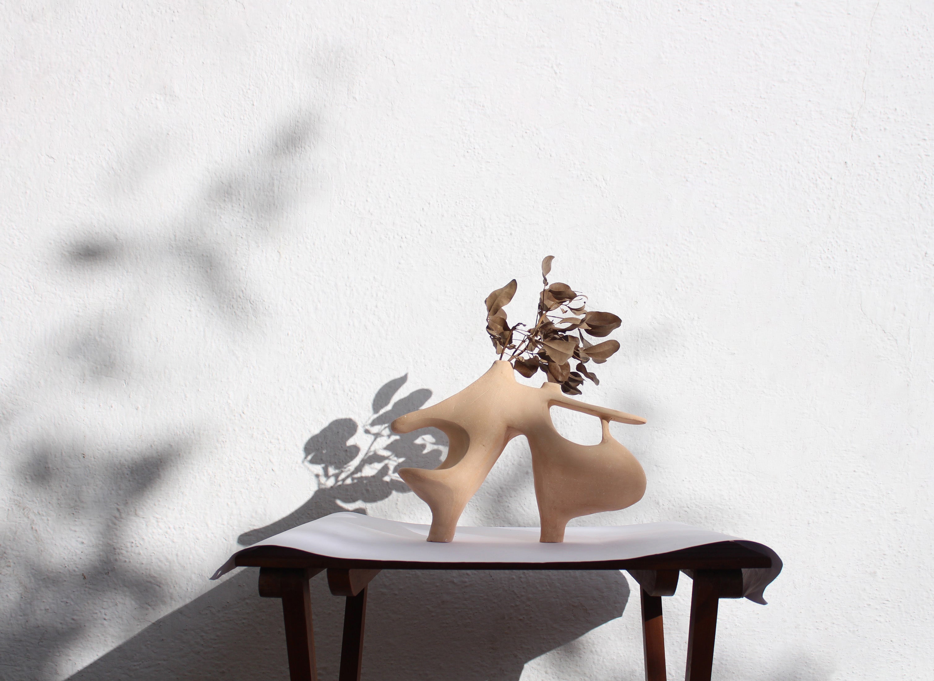 Pas de Deux by Muscellaneous